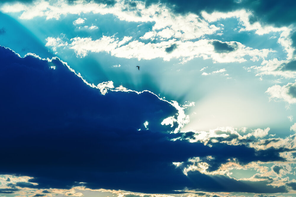 Photograph by Денис Труфанов