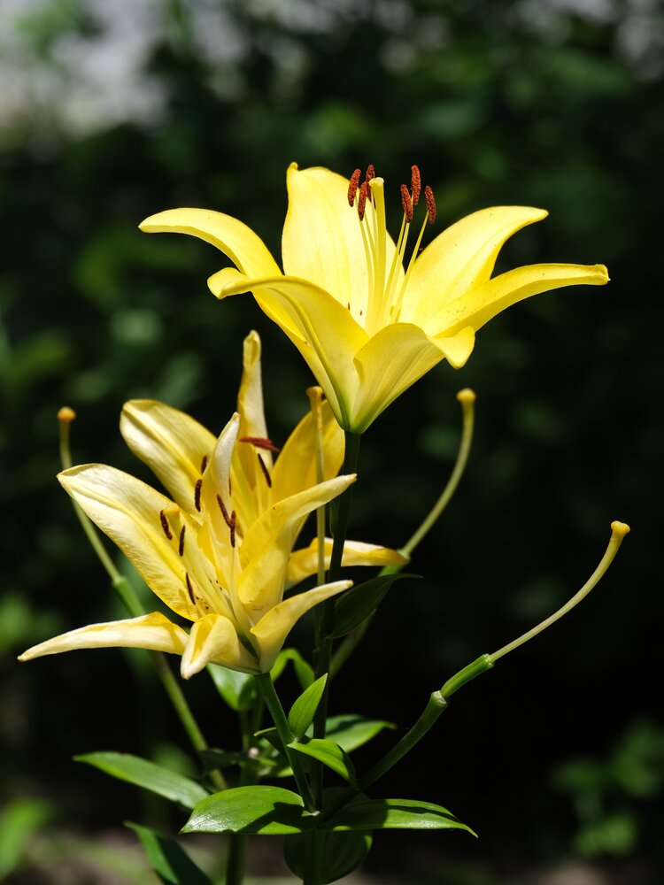Photograph by Юлия Фёдорова