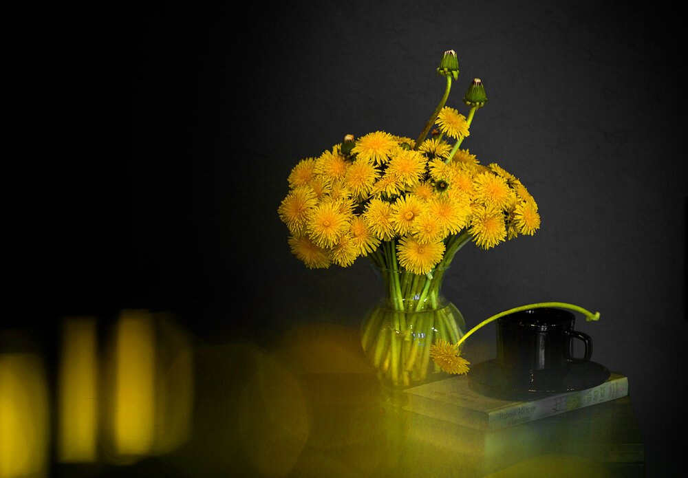 Photograph by Мария Чайка