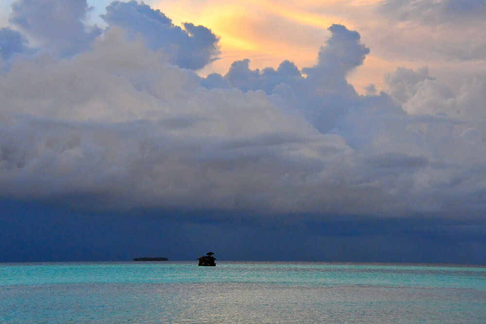 Photograph by Guy Wilson