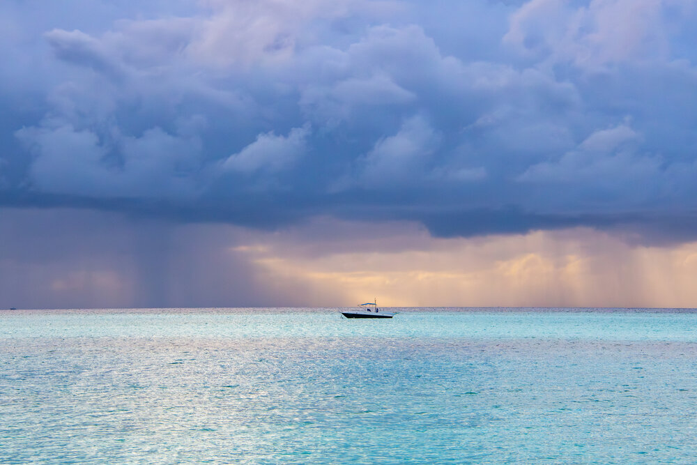 Photograph by Guy Wilson