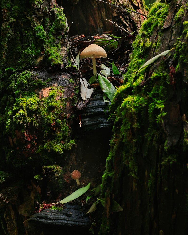 Photograph by Юрий Морозов