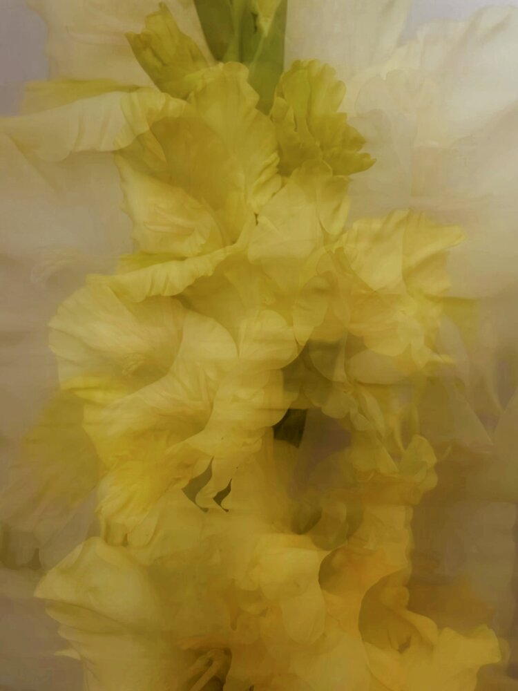 Photograph by Екатерина Кузнецова