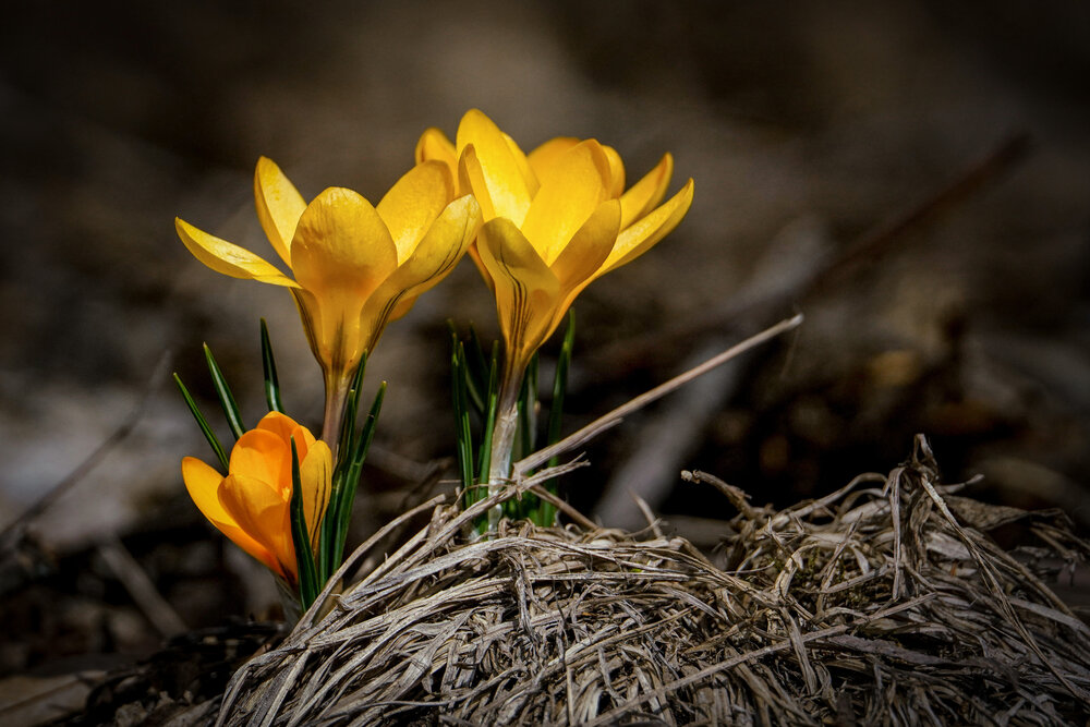 Photograph by Дмитрий