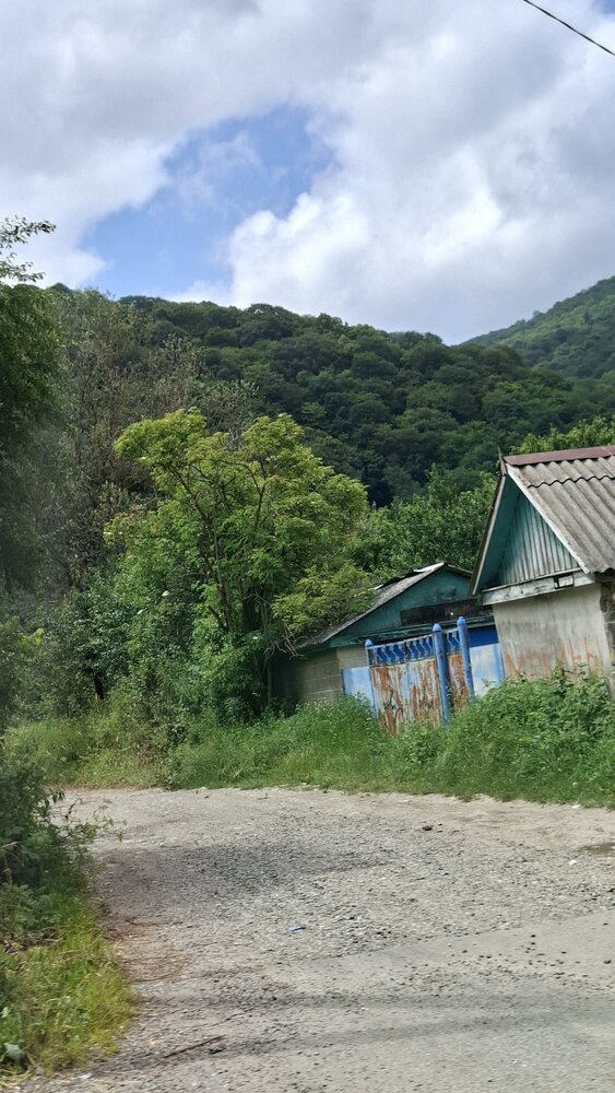 Фотография автора Елена