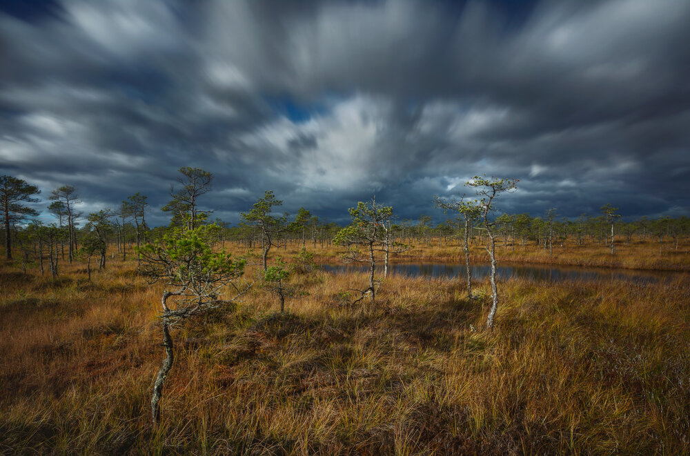Photograph by Щепотина Татьяна