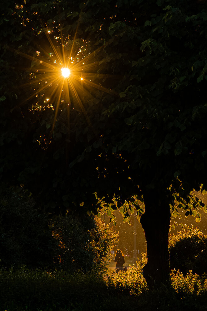 Photograph by Арсений Крят