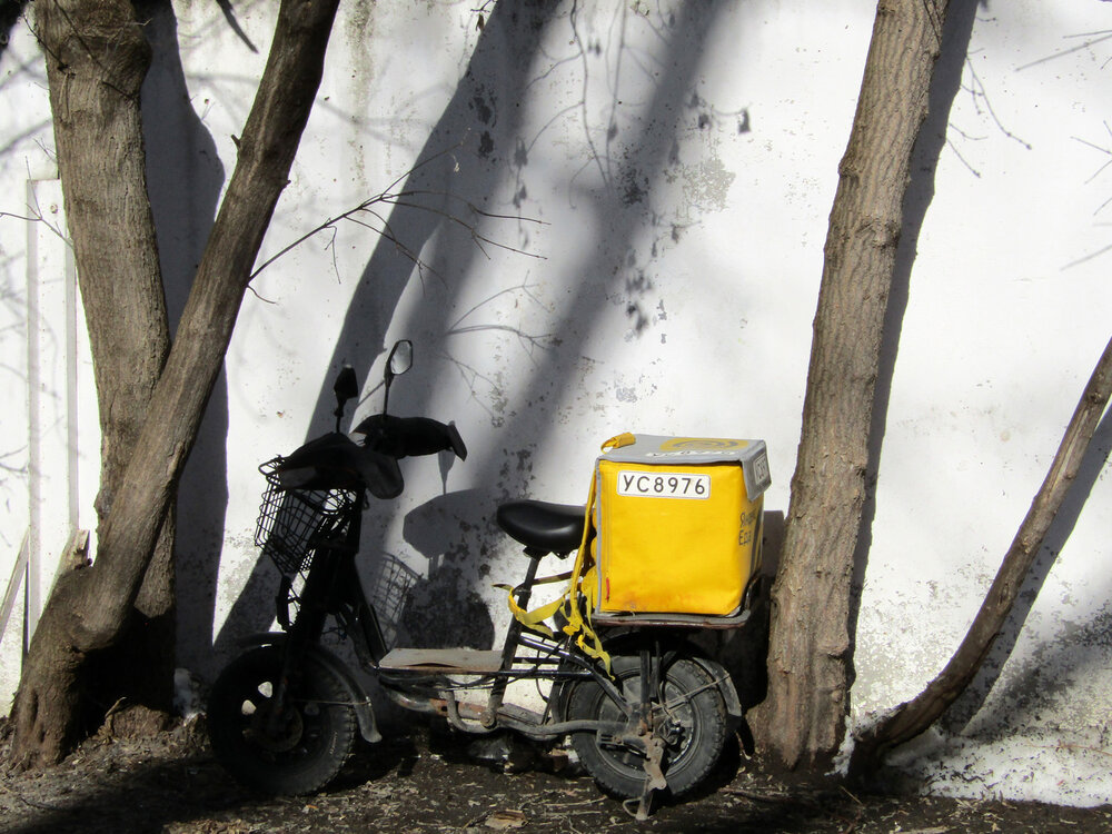 Photo #13794468