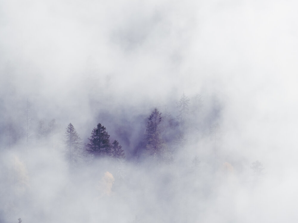 Photograph by Gergely Janovszky