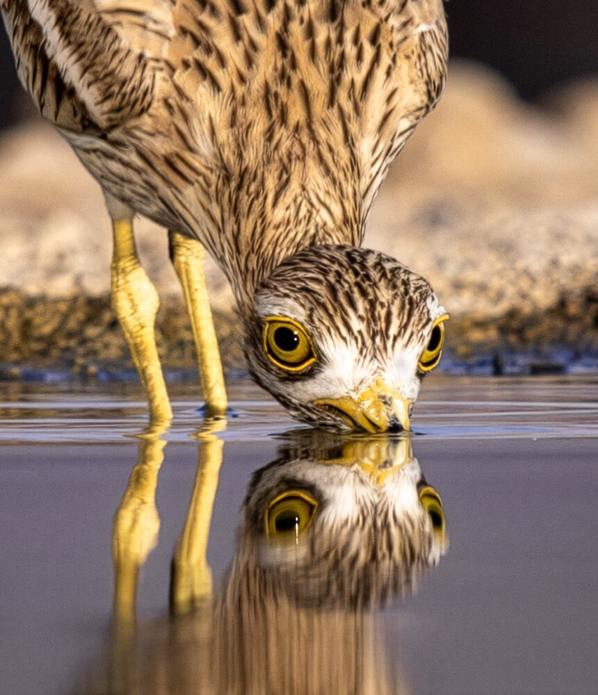 Photograph by Светлана Ханина