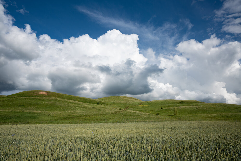 Photograph by Ляйсан Мубаракова
