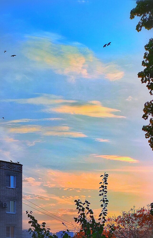 Photograph by Алла Холодова