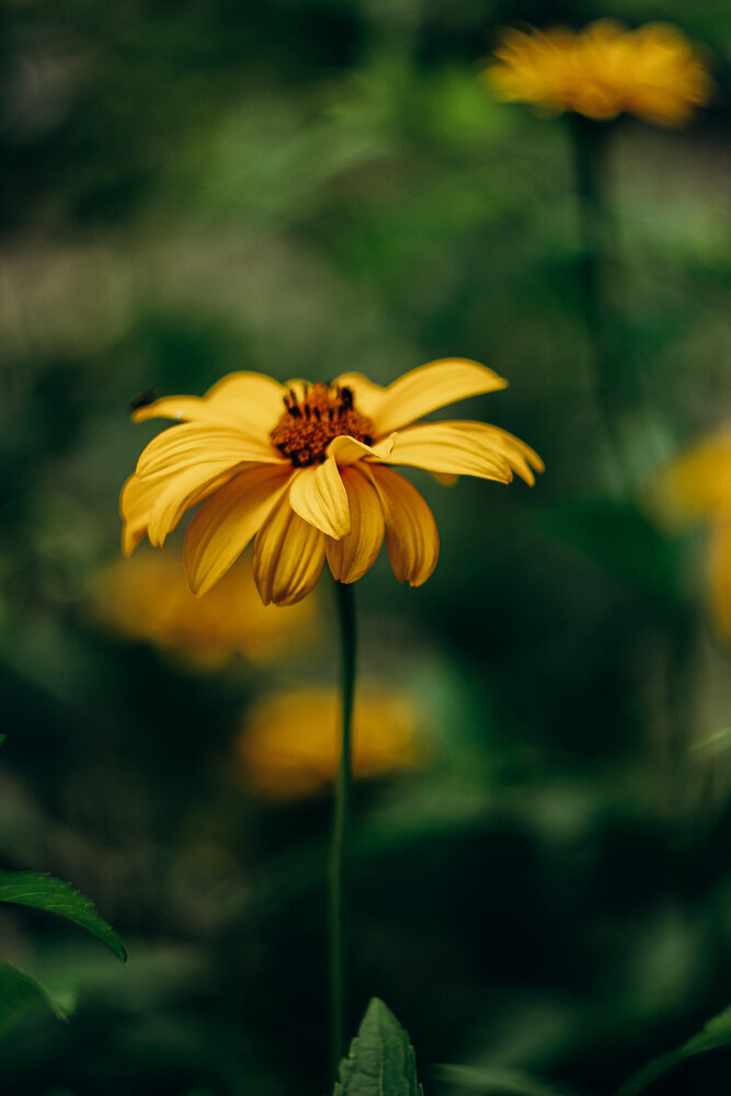 Photograph by Алиса Исаева