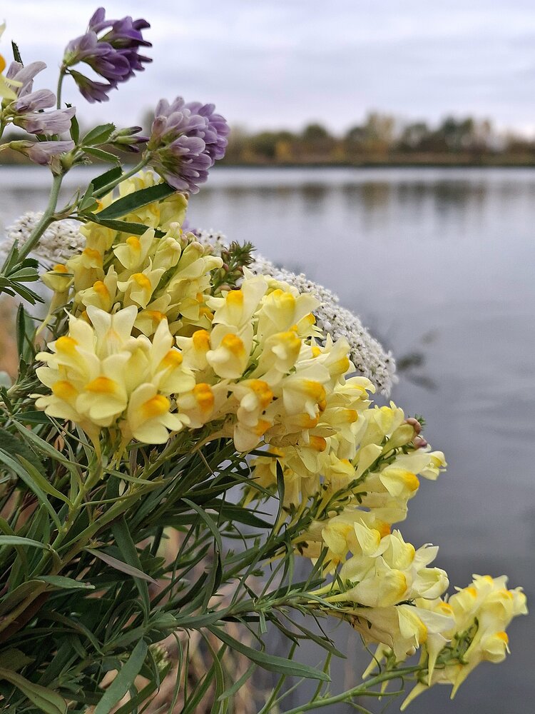 Photograph by Наталья Гаврилова