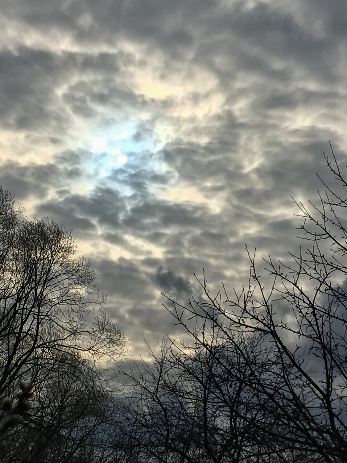 Photo #13794655