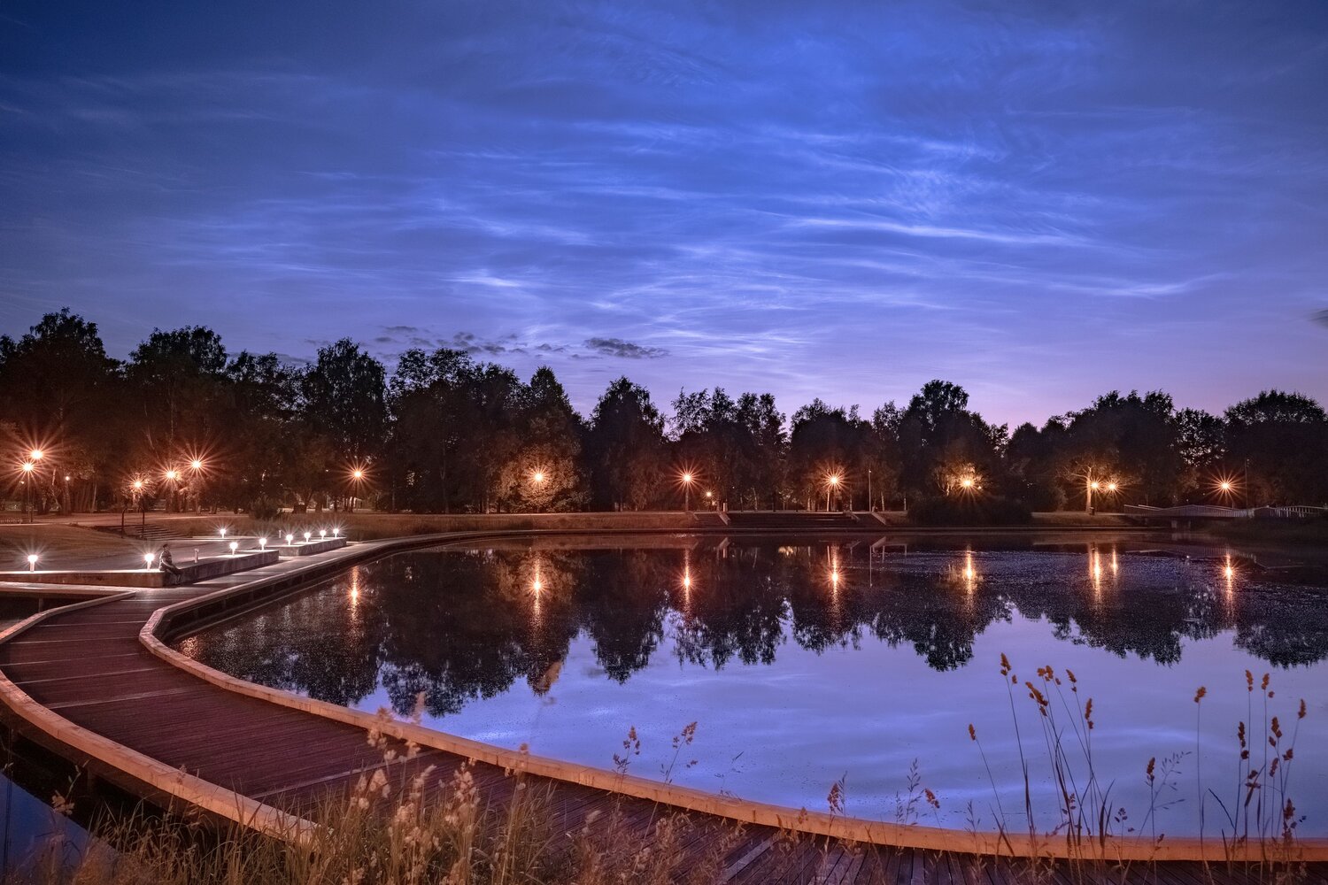 Photo #13794656