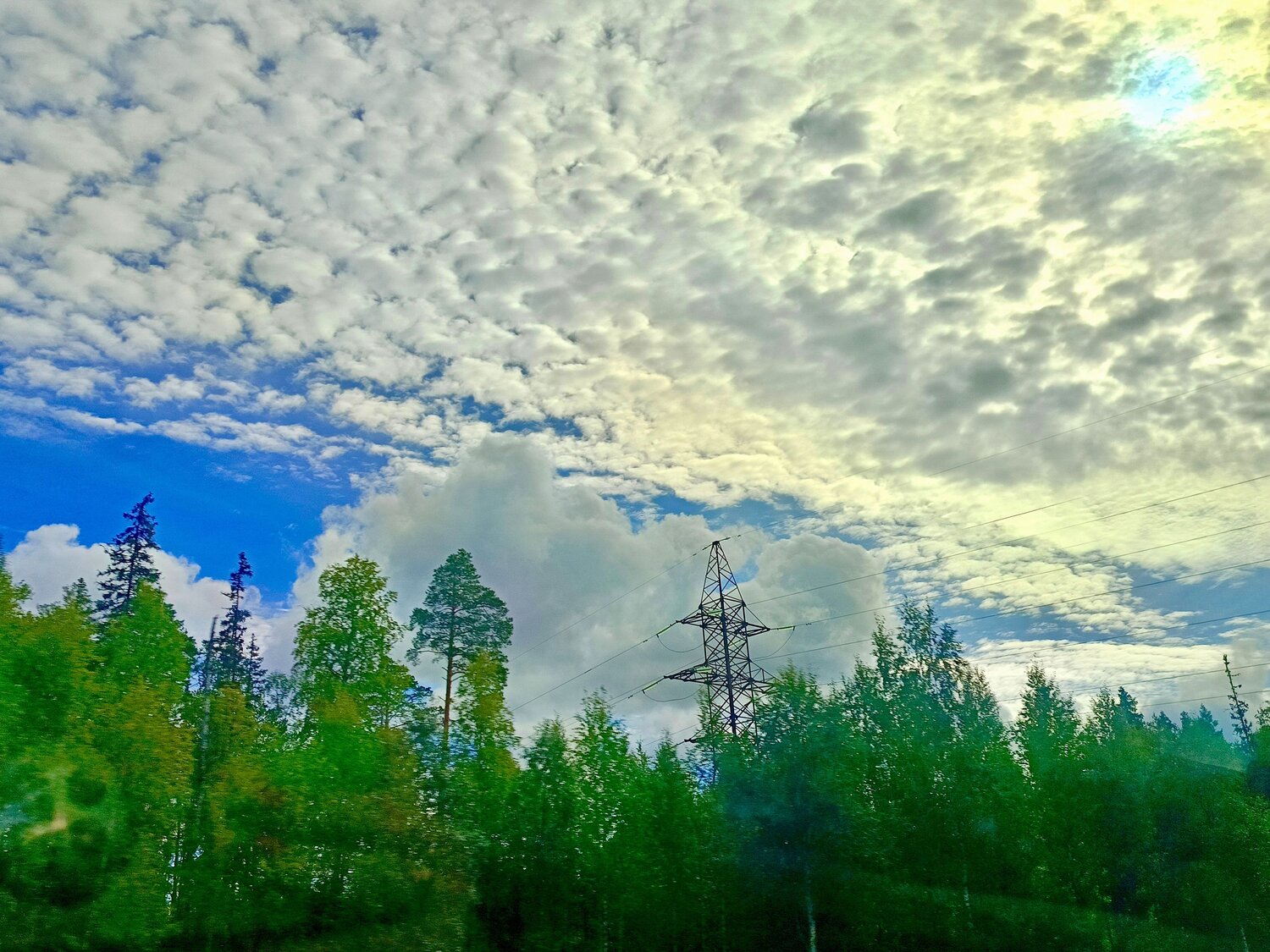 Photo #13794665