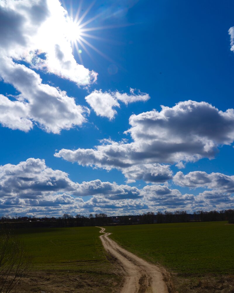 Photograph by Татьяна Туганова