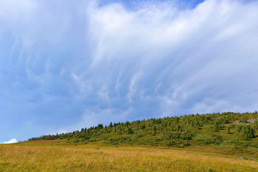 Photograph by Юрий Тимофеев