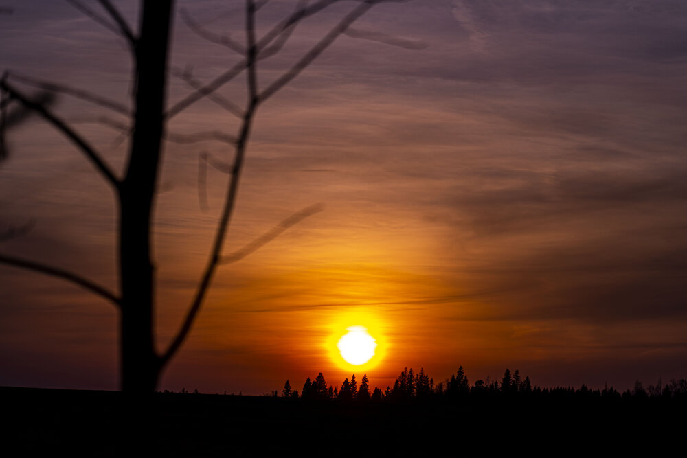 Photograph by Татьяна Туганова
