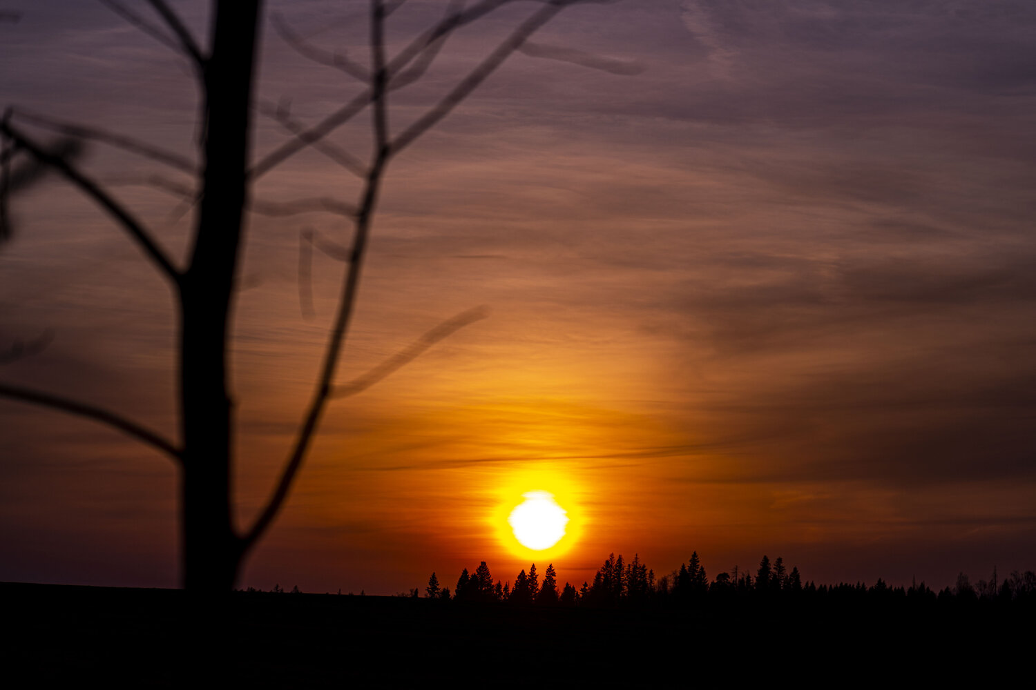 Photo #13794693