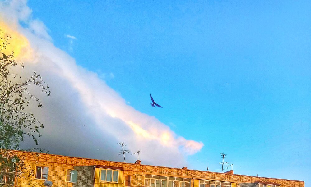 Photograph by Алла Холодова