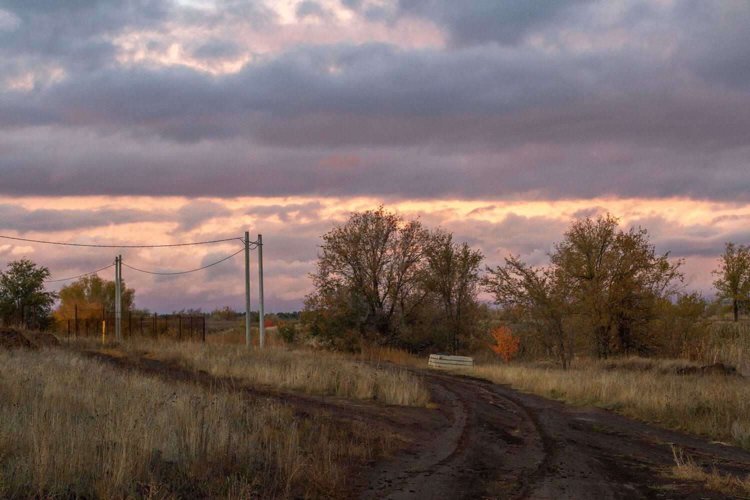 Photo #13794766