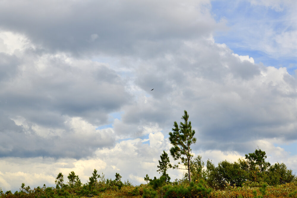 Photograph by Юрий Тимофеев