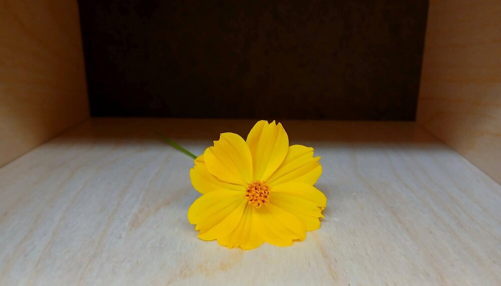 Photograph by Adriana Rocha