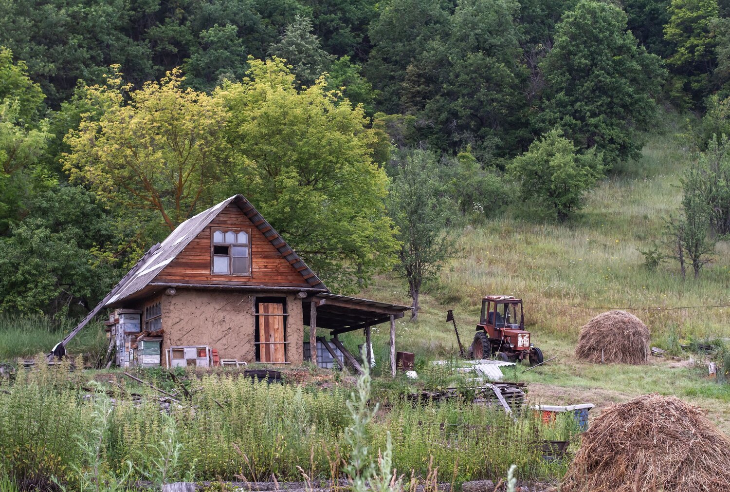 Photo #13794782