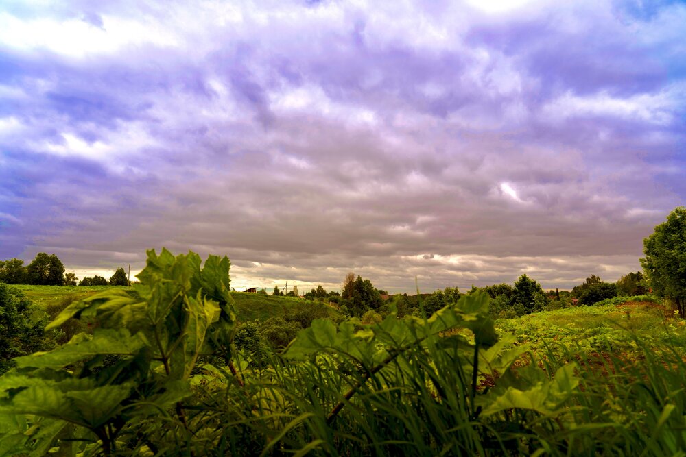 Photograph by Татьяна Туганова
