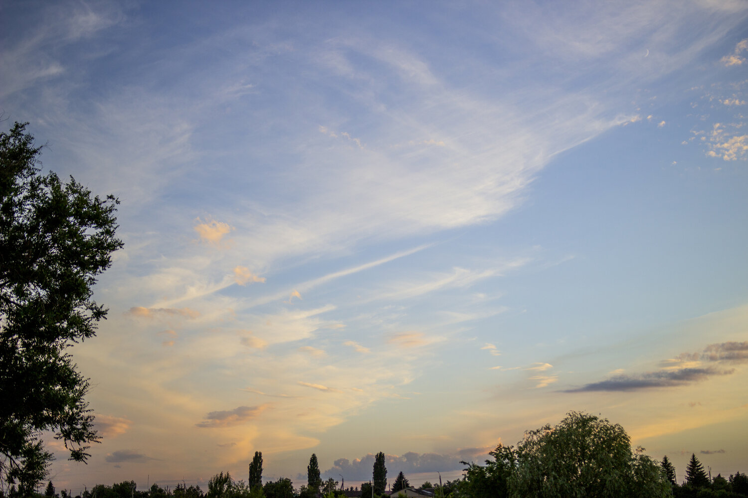 Photo #13794823