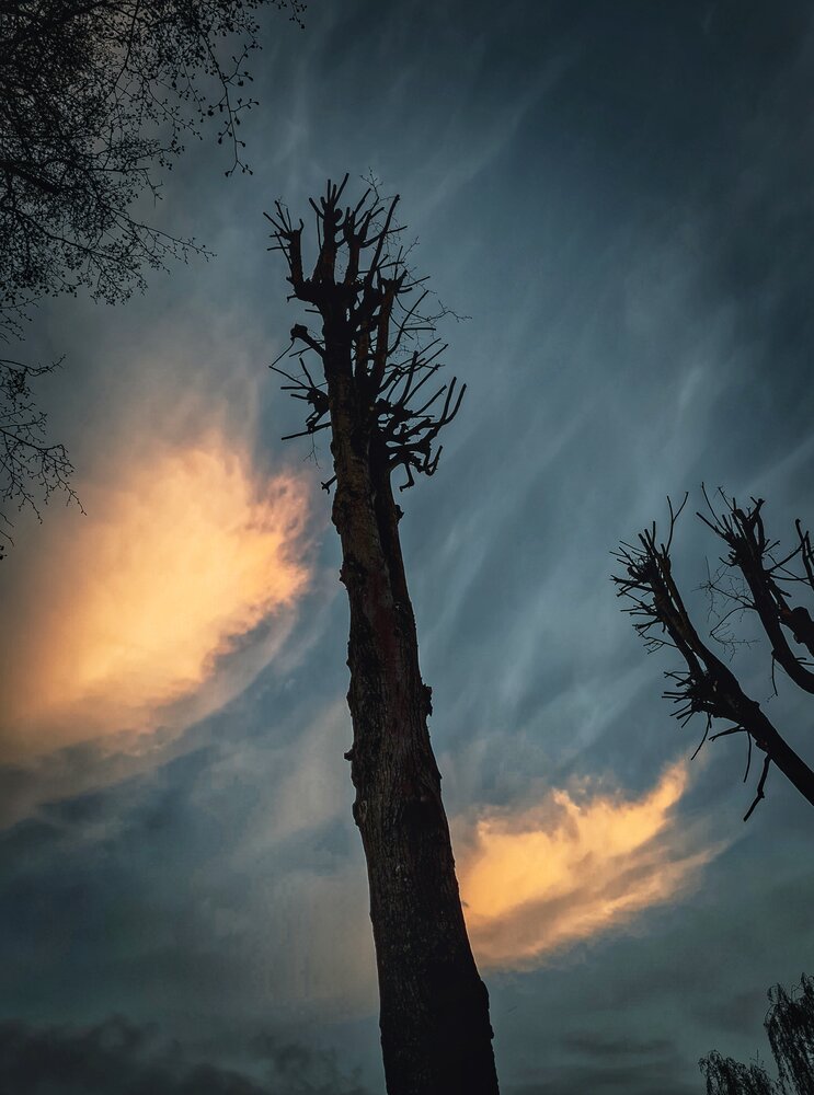 Photograph by Екатерина Народицкая