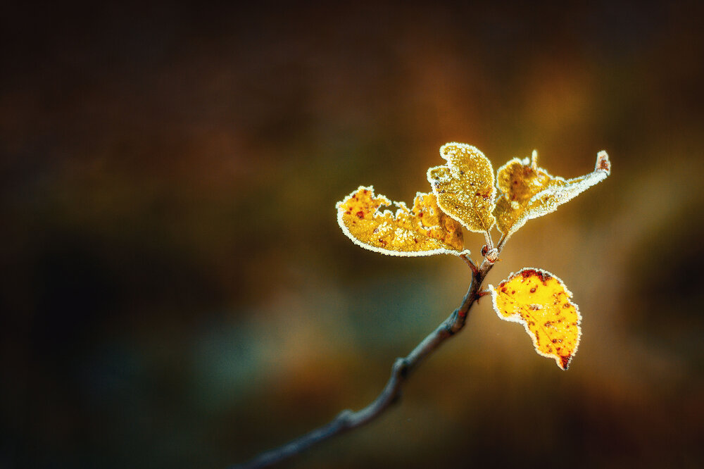 Photograph by Кукушкин Артур