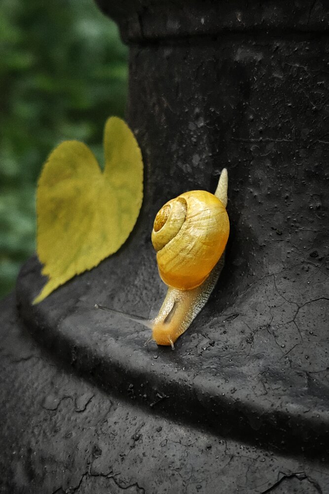 Photograph by Неро Миллена