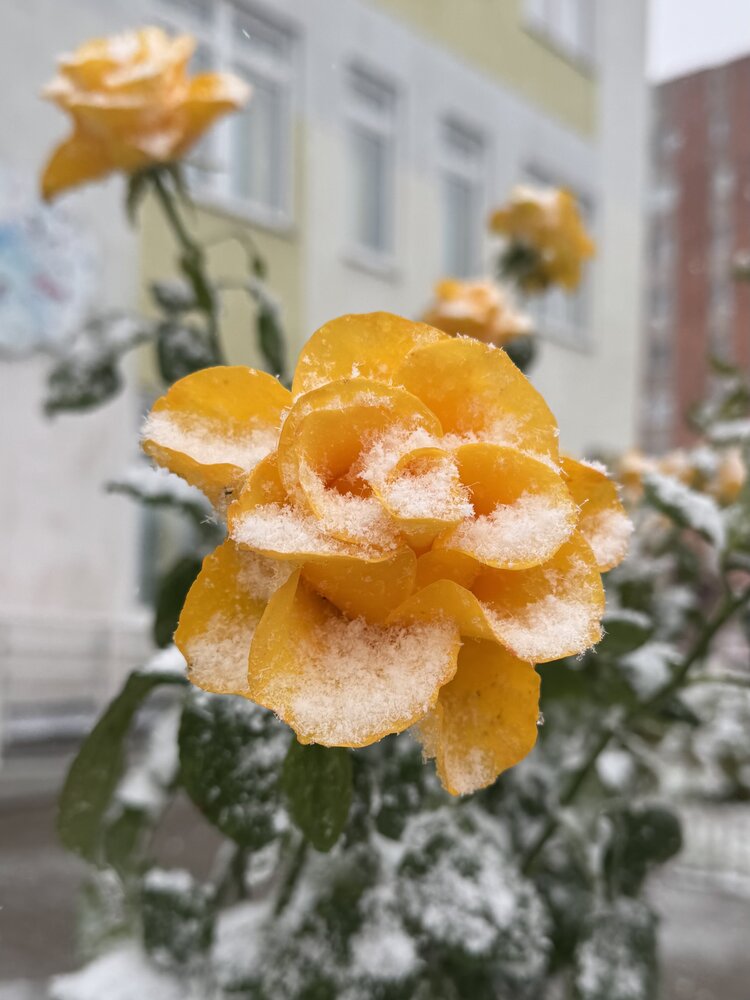 Photograph by Надежда Смекаева