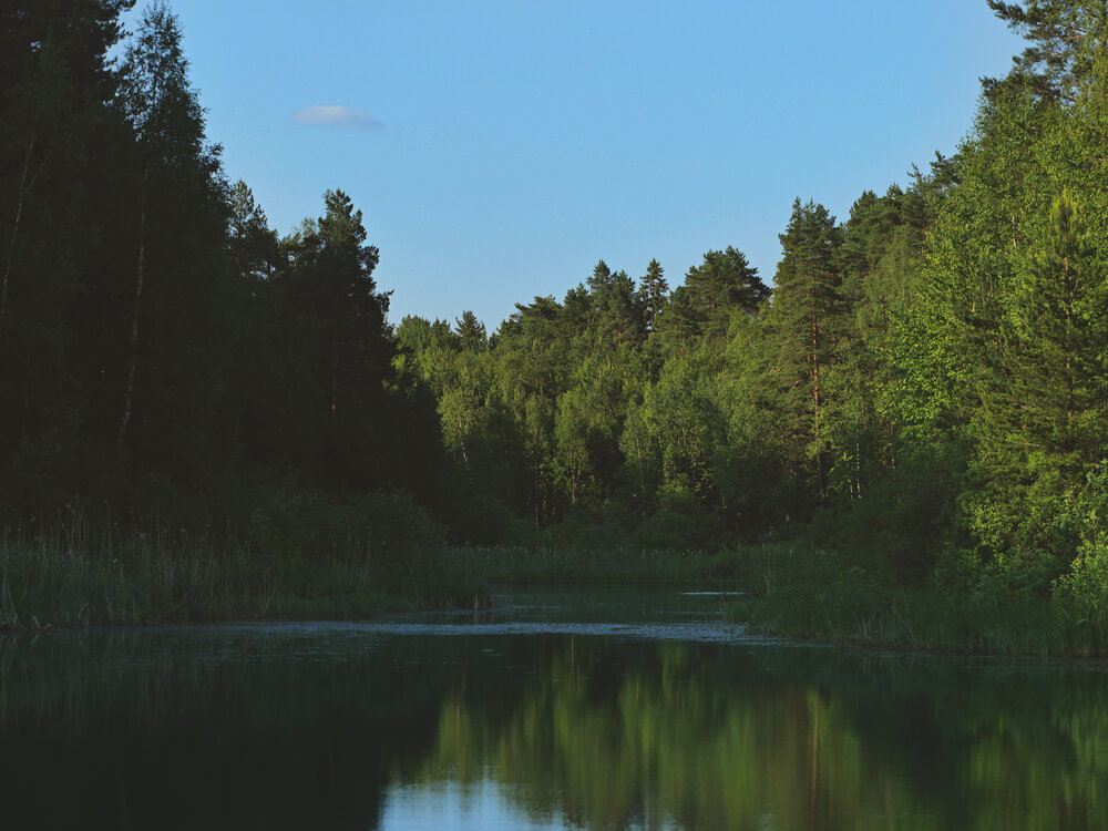 Photograph by Серафима Силина