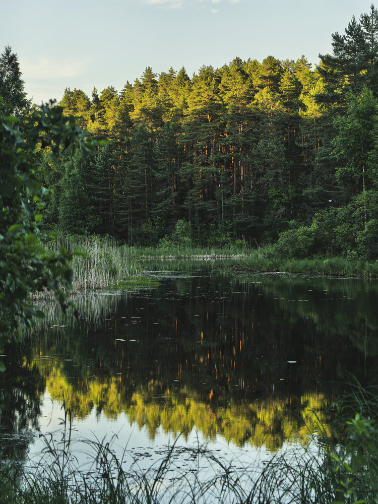 Photograph by Серафима Силина