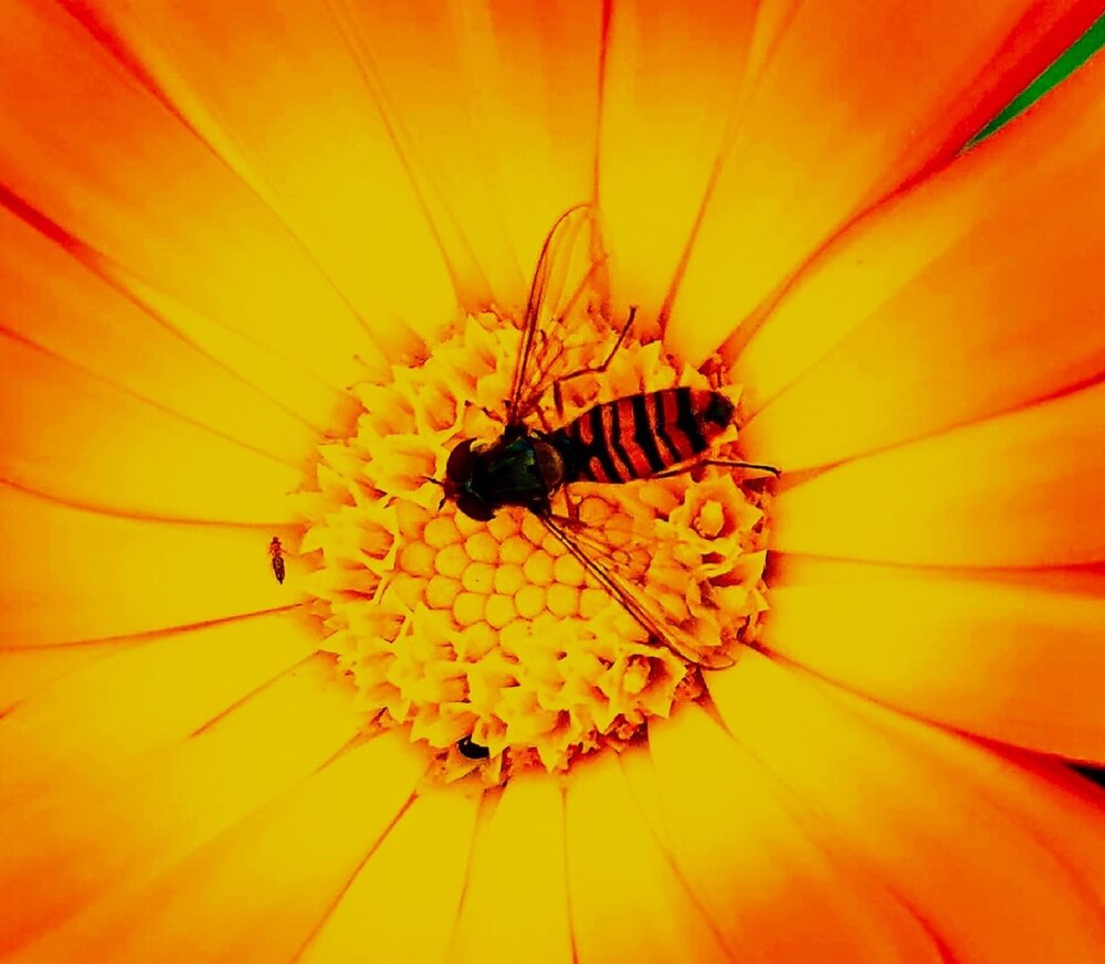 Photograph by Сергей Мамалюк