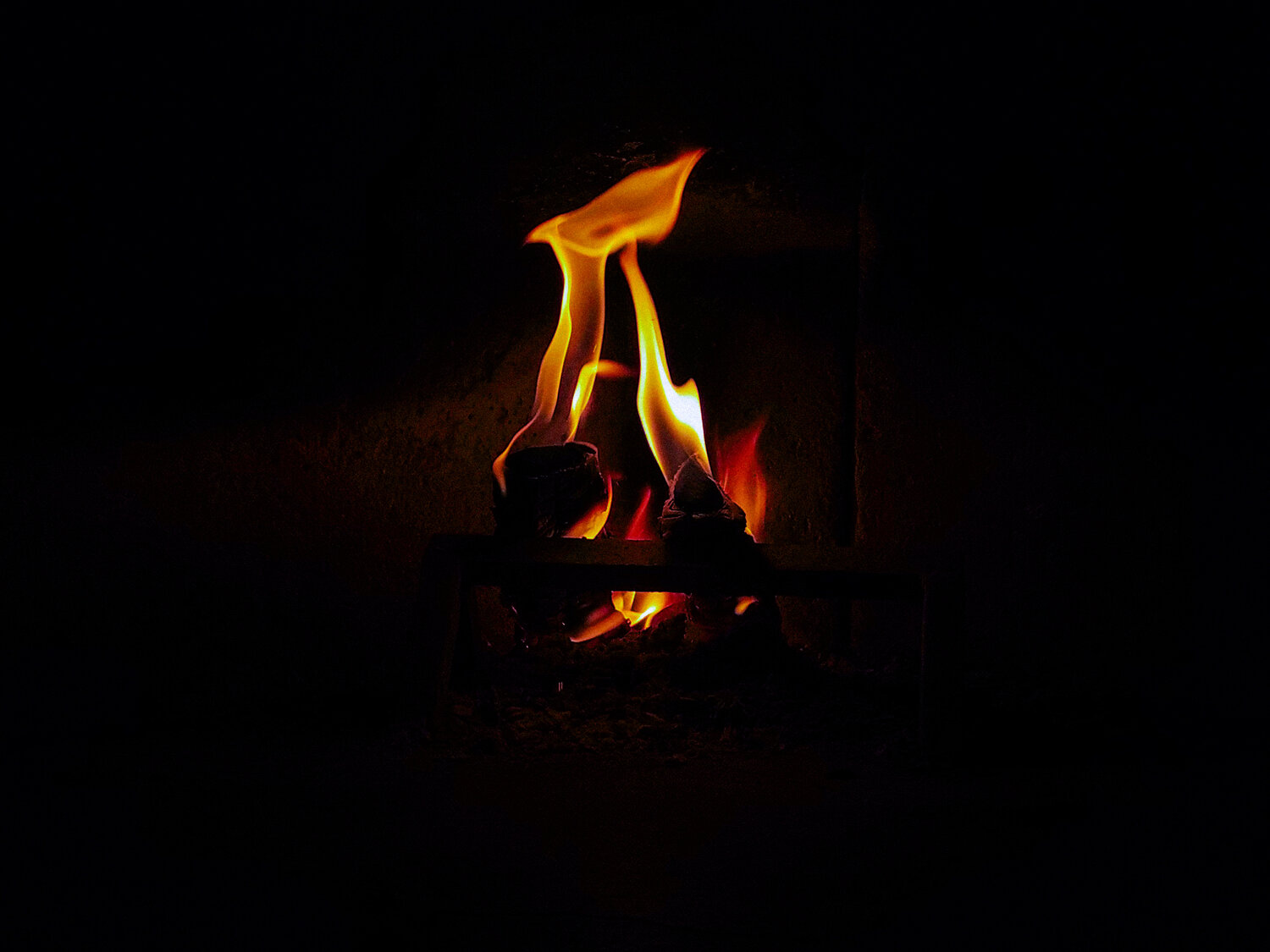 Photo #13794935