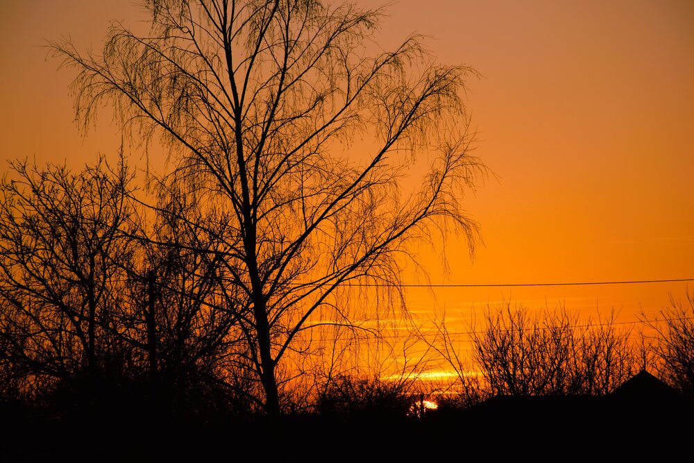 Photograph by Сергей Мамалюк