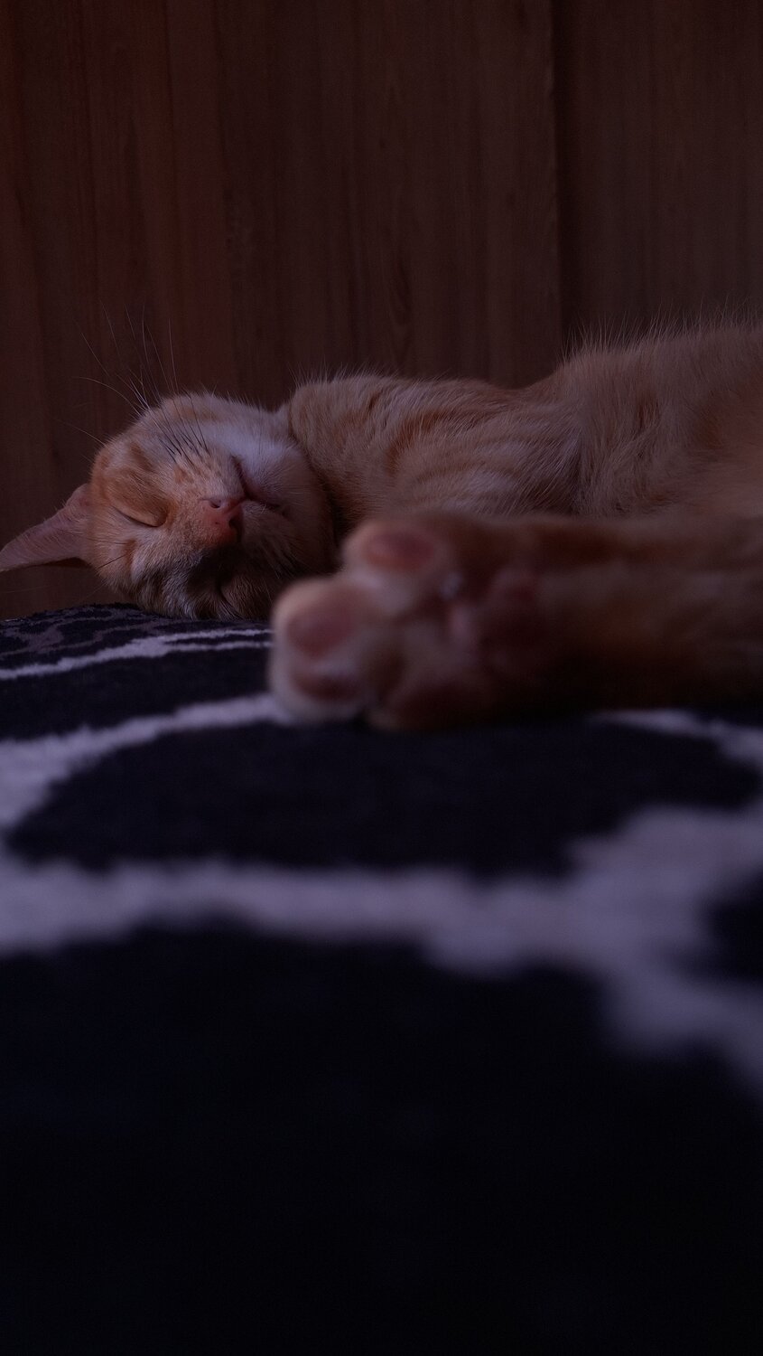 Kali