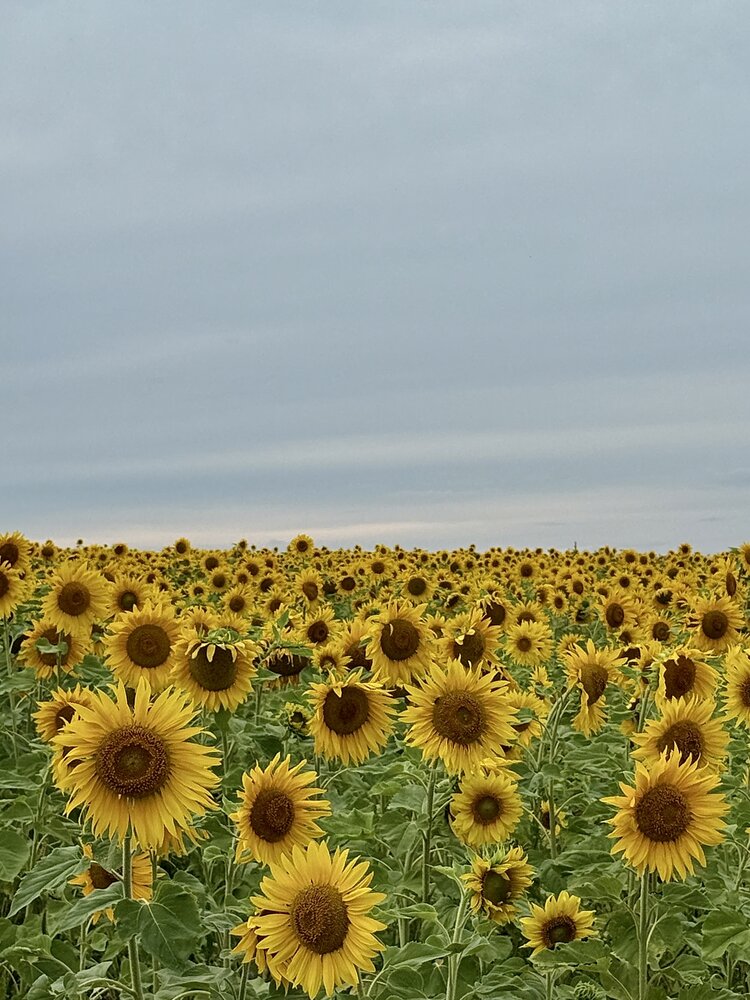 Photograph by Валентина Колесова