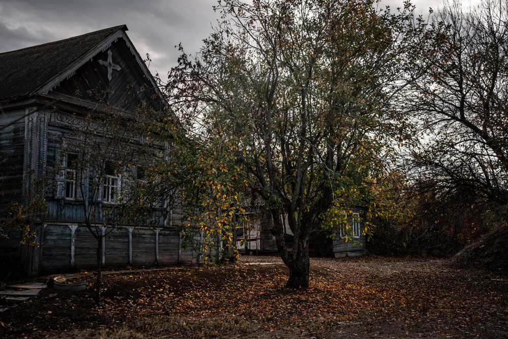 Photograph by Alina Orlova