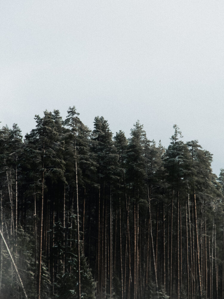 Photograph by Алиса Исаева