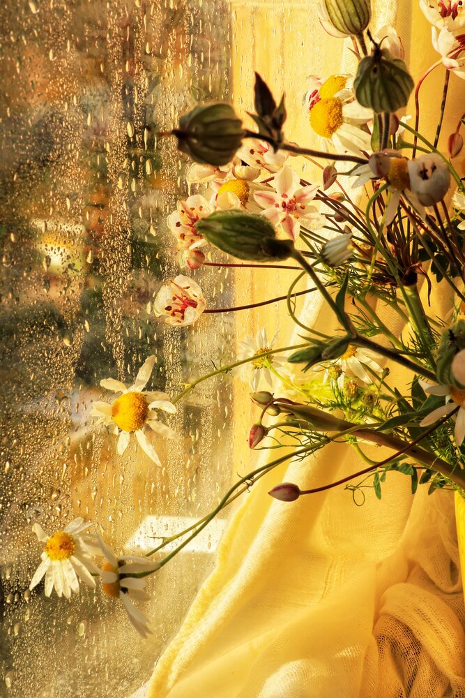 Photograph by Olga Asson