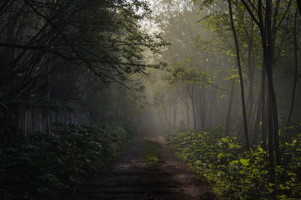 Photograph by Василиса Ногина