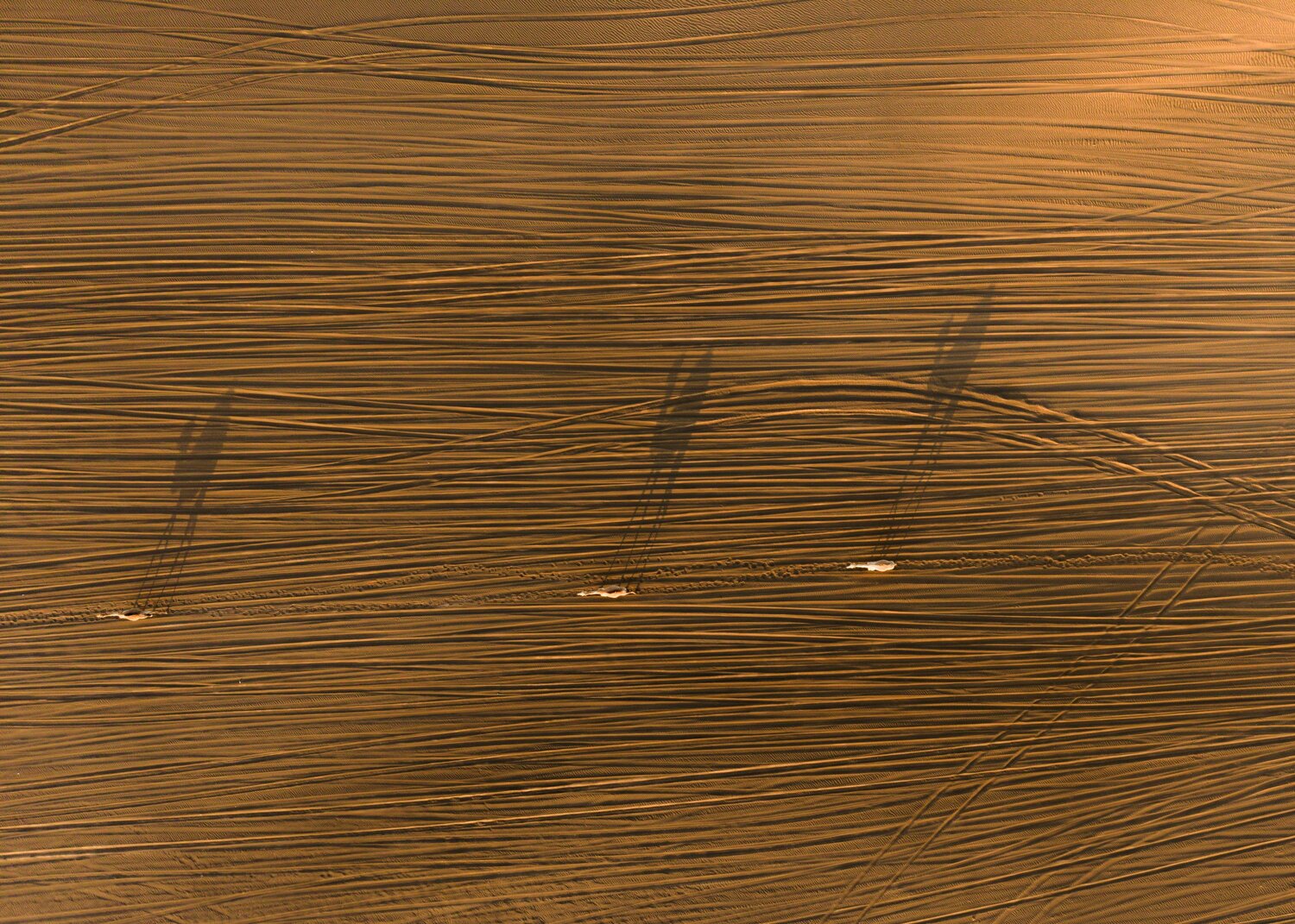 Shadows Across the Dunes