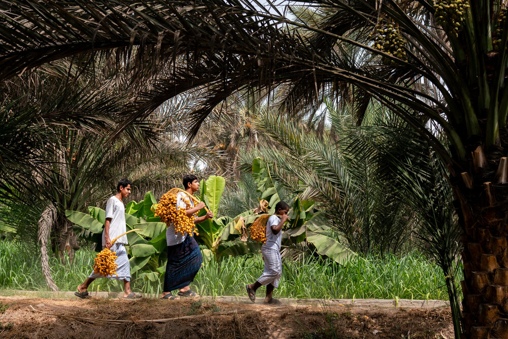Photograph by Majid Al Amri