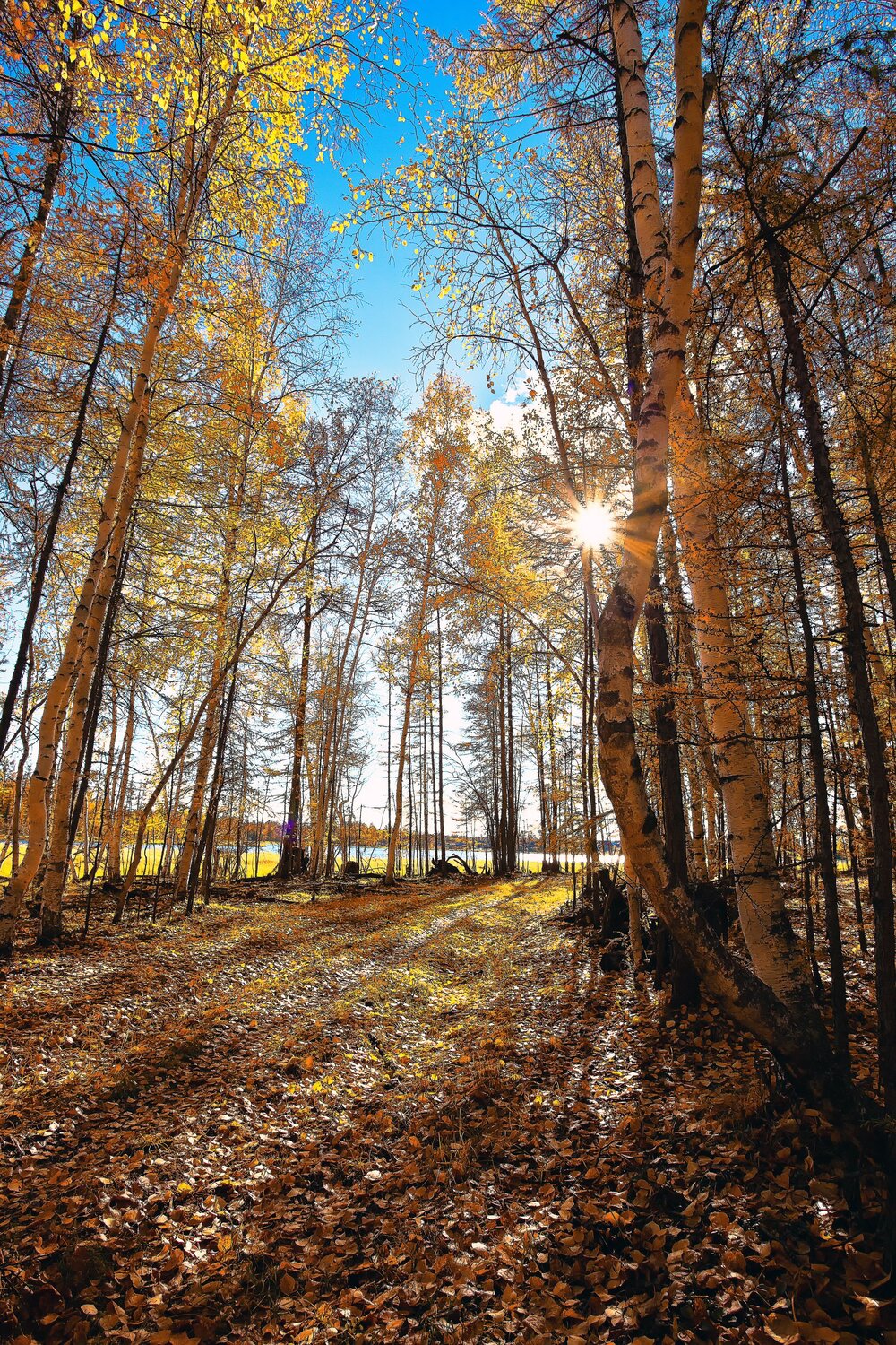 Осенний день.